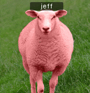 Sheep Jeff Compressed.gif