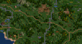 Forest.PNG